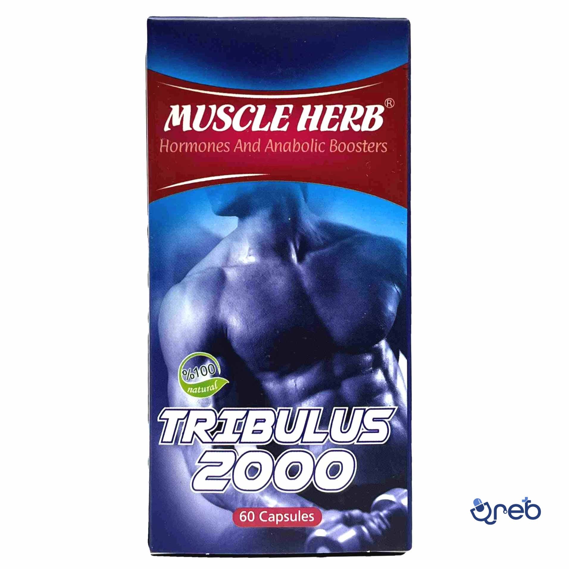 کپسول تریبولوس ماسل هرب بهتا دارو افزایش هورمون های مردانه ۶۰ عدد